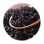 Extrato de Caviar